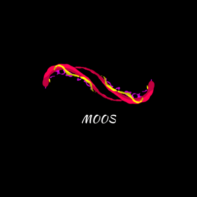 Moos
