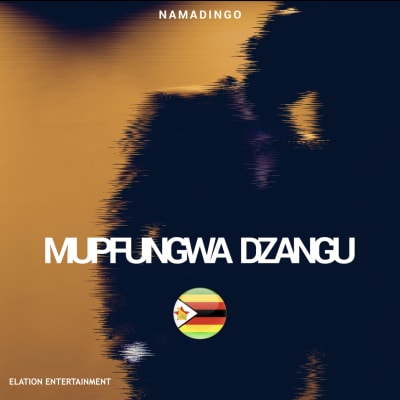 Namadingo - Mupfungwa Dzangu