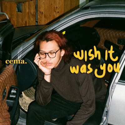 Listen to Wish It Was You